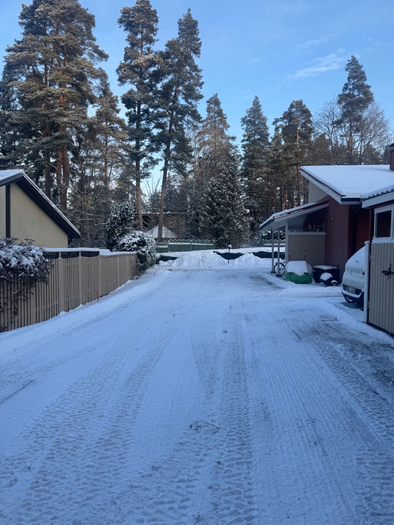 Aurattu omakotitalon pihatie mäntyjen keskellä Tuusulassa